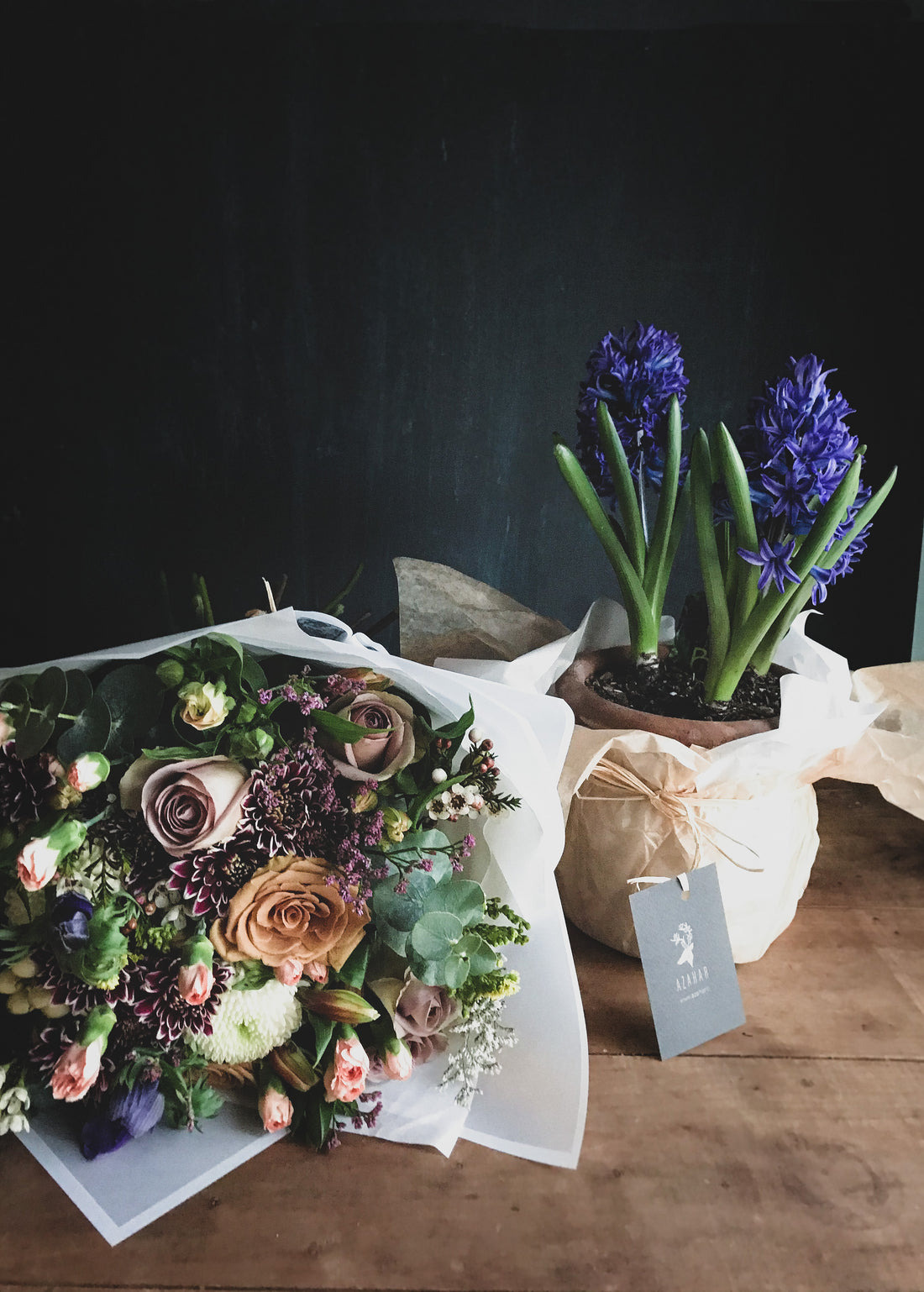 Cuidado de las plantas de Bulbo