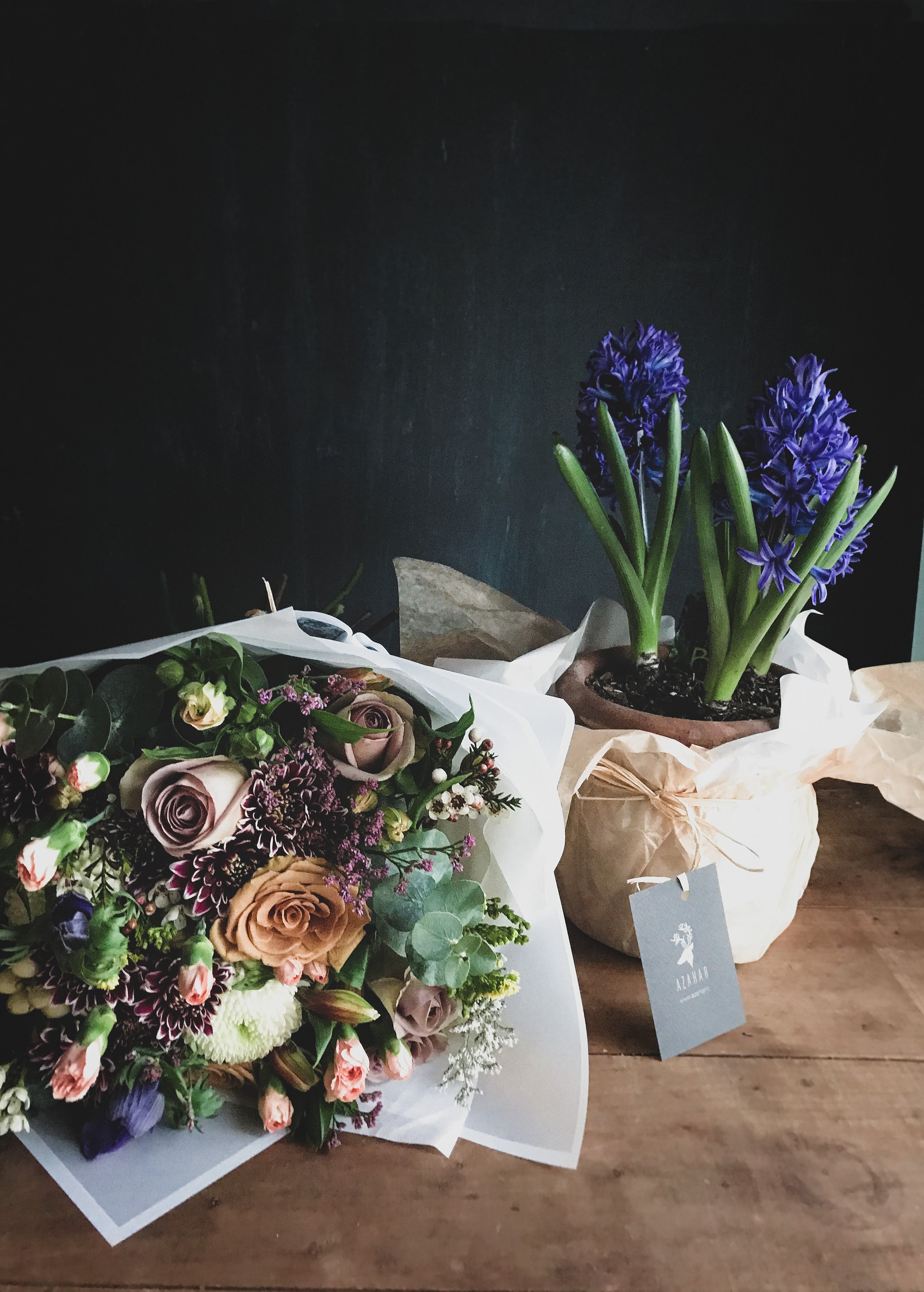 Cuidado de las plantas de Bulbo